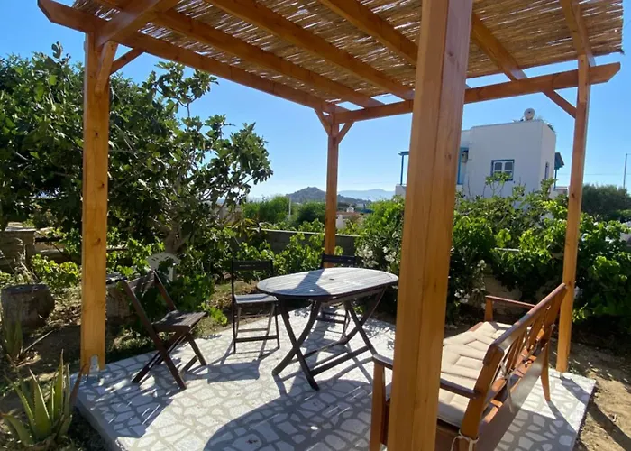 Nektarios * 米科利维亚